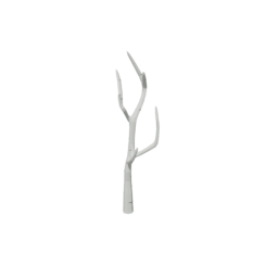 Birch Tree Dead 3